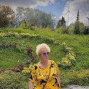 ������������ ���, 2024 �� ������� ���� ����������