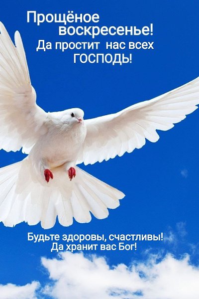  - 17  2024  10:37