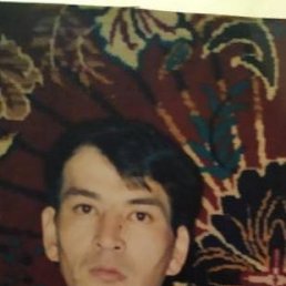 , 44, 
