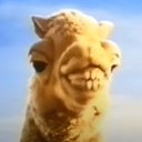 ���� ��������, �����, 22 ���� - ��������� 13 ������ 2025 � ������ ���� ����������