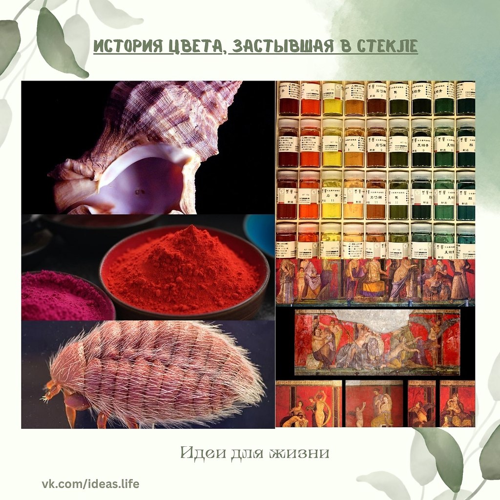 Среди научных архивов Гарварда хранится уникальное собрание — коллекция пигментов Форбса. Более 2500 ...