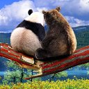 ���� ������, �����-��������� - ��������� 13 ������� 2024 � ������ ������ ��������