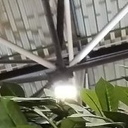 ����, 25 ���, ������