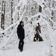 �����, , ����