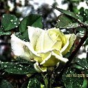 ���� ������, ��������� - ��������� 5 ������� 2025 � ������ ������ �� �����