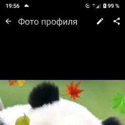 �������, ���������, 50 ���