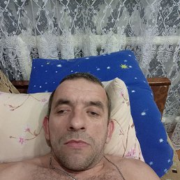 , 45, 