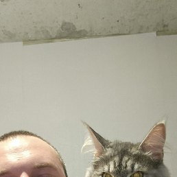 , 31, 