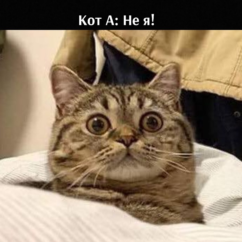 ��� ���� � ����� �� �� - 20 ����� 2026 � 17:00 - 2