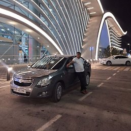 �����, ������, 41 ���