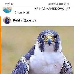 Honor, ������, 50 ���