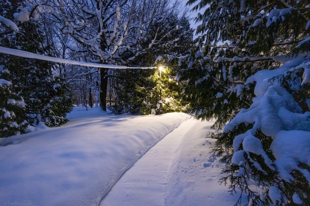 ������������ ����.������������ ���� �������� ��� ����������� � 1932 ����, � � 1951 ���� ������� ... - 4