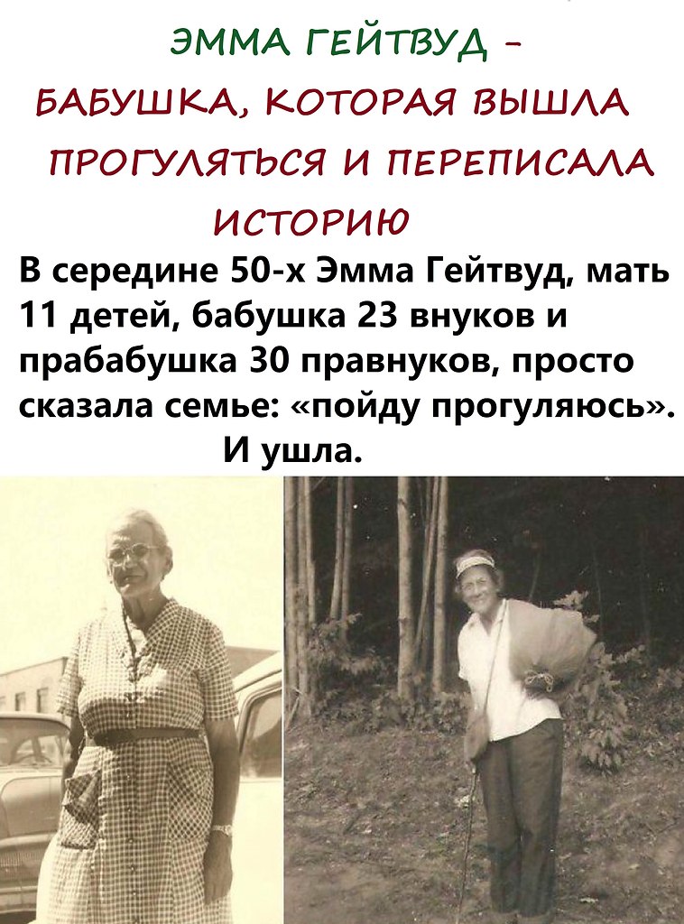      ,   . - 2