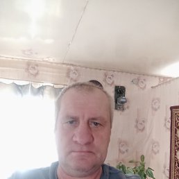 ���� ����, ���������, 48 ��� - ��������� 2 ������ 2026