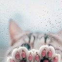 ���� �������, ������, 76 ��� - ��������� 13 ������ 2026 � ������ ������ ��������