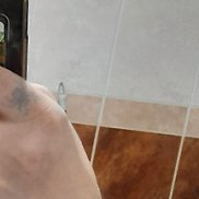 , 53 ,  