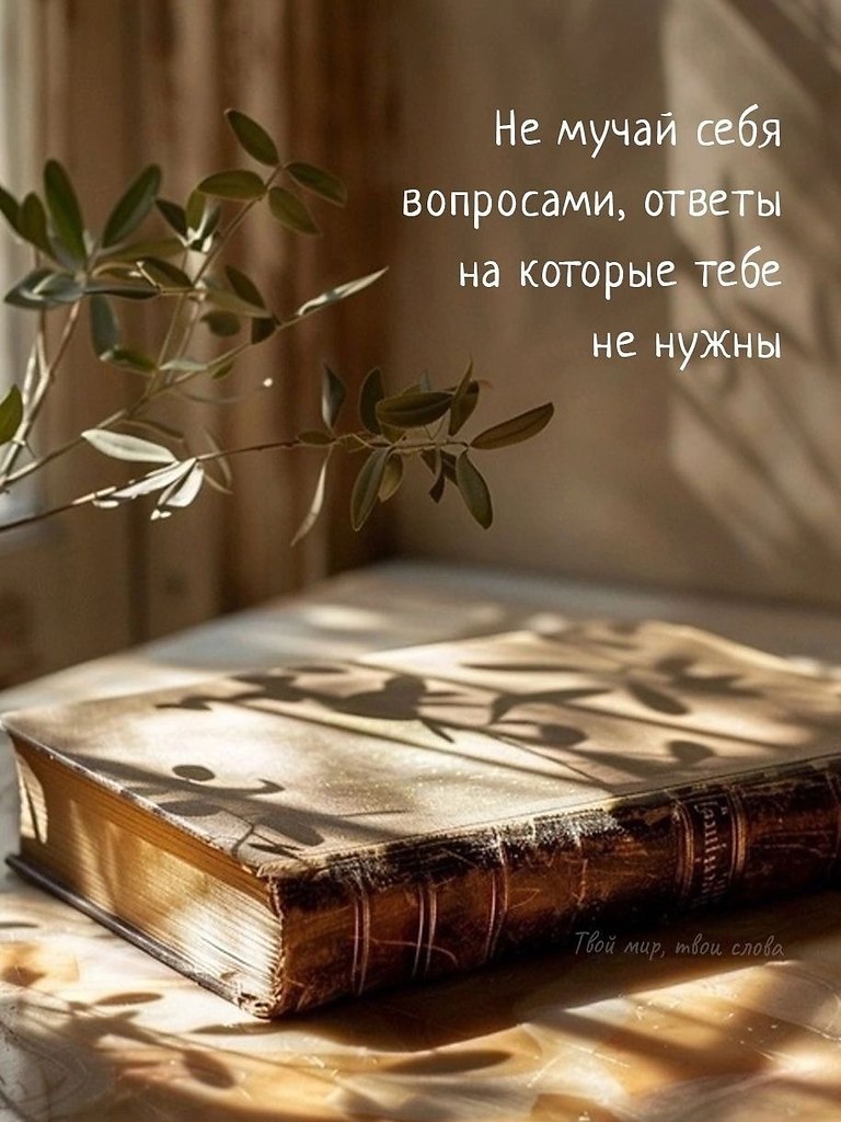   - 23  2025  18:19