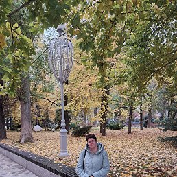 ���� �������, ���������, 46 ��� - ��������� 16 ������ 2025