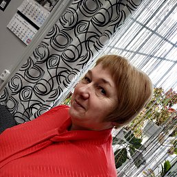 ���� �������, ����, 58 ��� - ��������� 16 ������ 2026