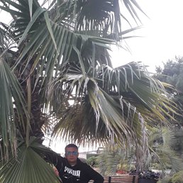 �����, 44 ����, ����