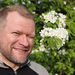 �����, �����-���������, 44 ����