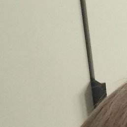 �����, ������, 45 ���