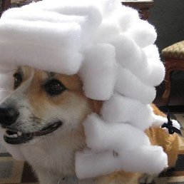 ����, ������������, 29 ���