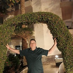 �������, �����, 65 ���