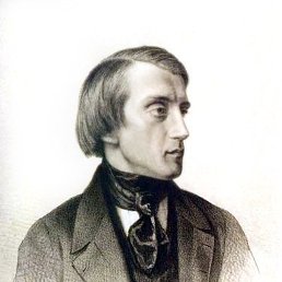 ������, �������, 46 ���