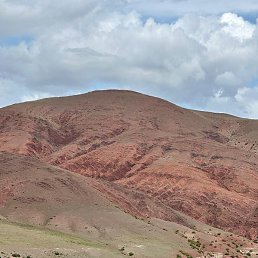 �����, �����������, 59 ���