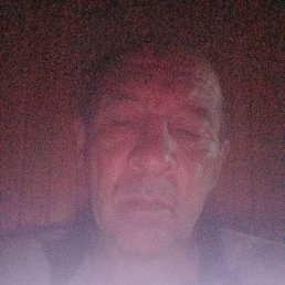 , 44, 