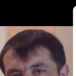 ����, �������, 46 ���