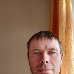 ������, 41 ���, ����