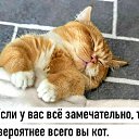 ���� N, ������������, 50 ��� - ��������� 28 ������ 2026 � ������ ������ ��������