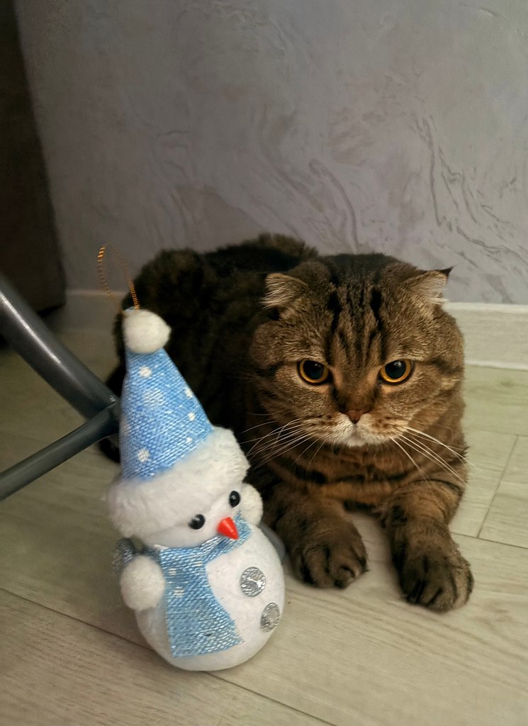 � ������� ��������.. - 3