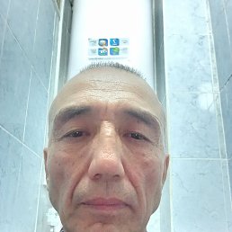 , 65, 