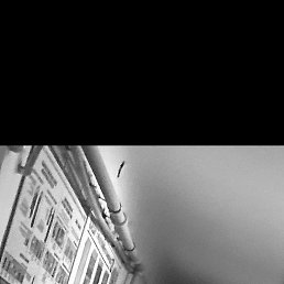 ������, ������, 39 ���