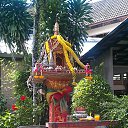 ���� ����, ������, 61 ��� - ��������� 23 ������� 2025 � ������ ���� ����������