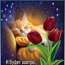 ���� �������, ������, 68 ��� - ��������� 27 ������ 2024 � ������ ���� ����������