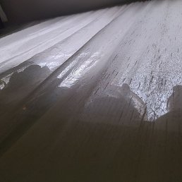 ���, ������, 51 ���