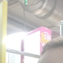 ����, ��������, 44 ����