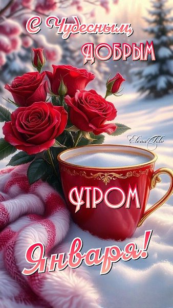 ���� �� ���������(������) - 24 ������ 2026 � 08:13