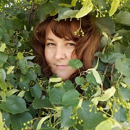 ���� ������, ���������, 55 ��� - ��������� 12 ������� 2025