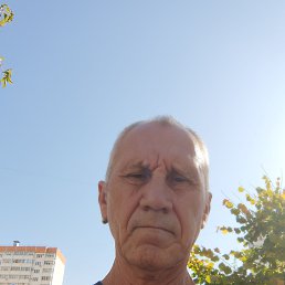 , 62 , 