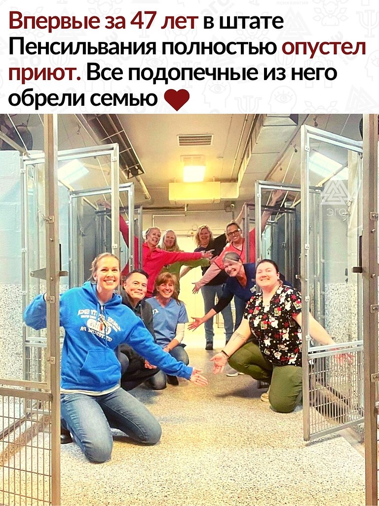 ������� �������� ���� ����: ����� � ����� ���� ��� ������ ��������