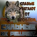 ���� ������, ������, 39 ��� - ��������� 6 ������� 2026 � ������ ���� ����������