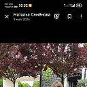 ���� �������, ���������, 46 ��� - ��������� 31 ���� 2025 � ������ ���� ����������