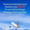 ���� ����, ������, 34 ���� - ��������� 26 ������ 2024 � ������ ���� ����������