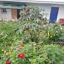 ���� �������, �������, 59 ��� - ��������� 7 ��� 2025 � ������ ���� ����������