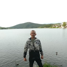 ����, ������, 81 ���